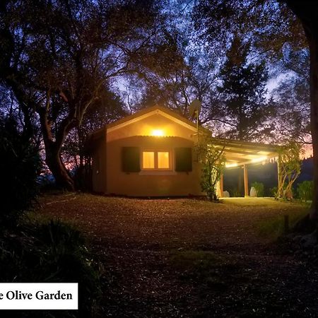 House In The Olive Garden Daire Ágios Ioánnis Dış mekan fotoğraf