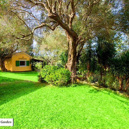 House In The Olive Garden Daire Ágios Ioánnis Dış mekan fotoğraf