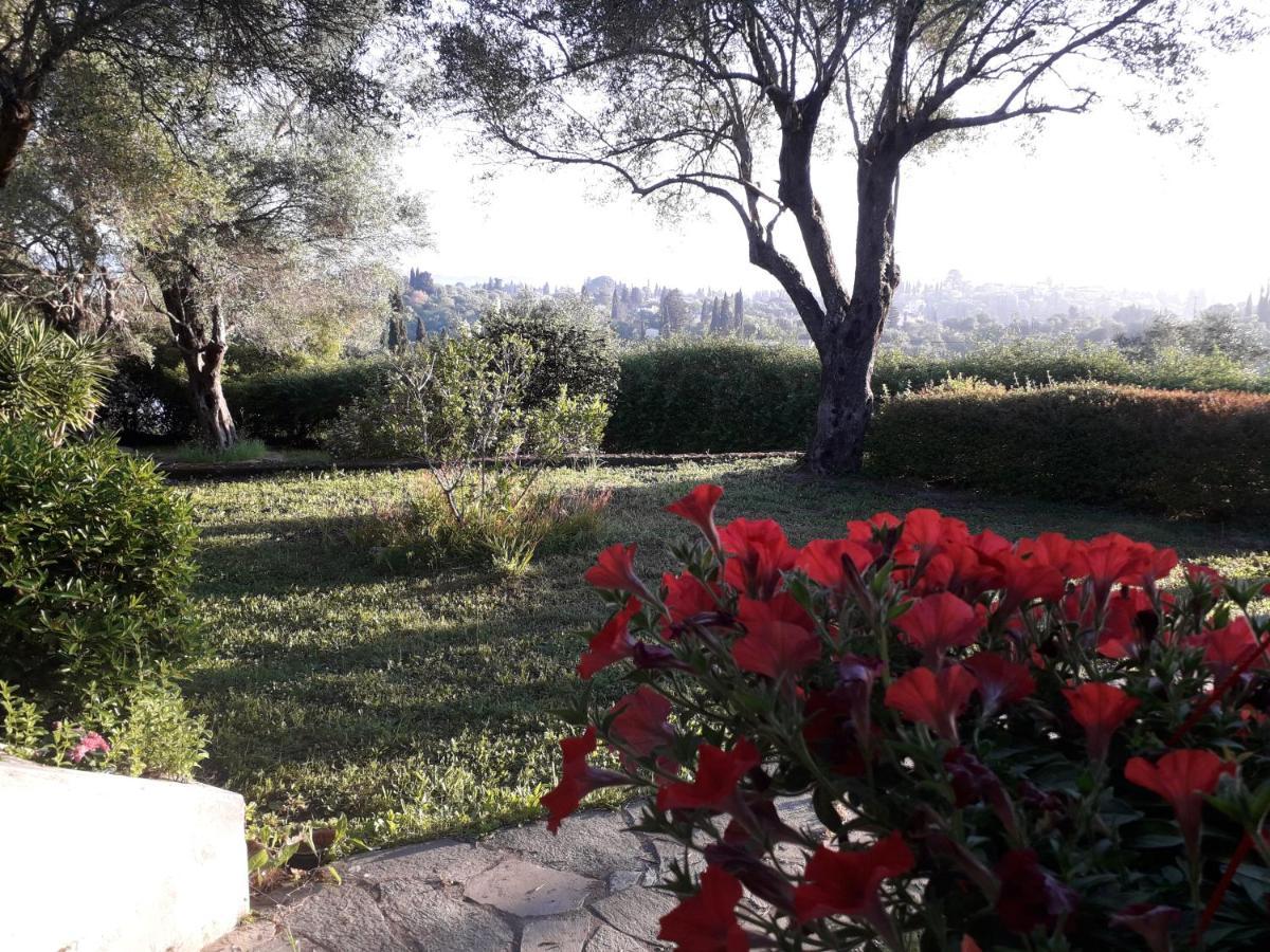 House In The Olive Garden Daire Ágios Ioánnis Dış mekan fotoğraf
