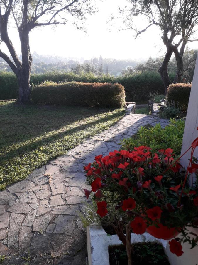 House In The Olive Garden Daire Ágios Ioánnis Dış mekan fotoğraf