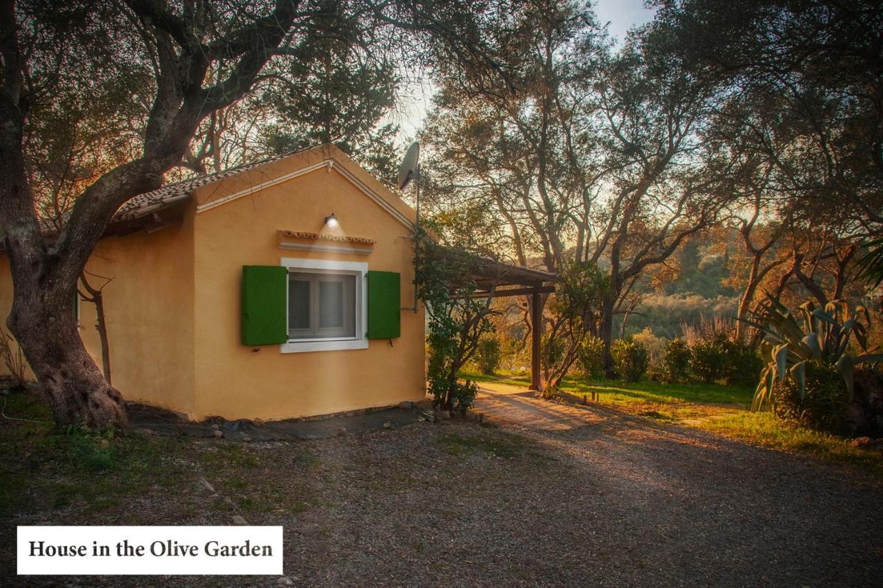 House In The Olive Garden Daire Ágios Ioánnis Dış mekan fotoğraf