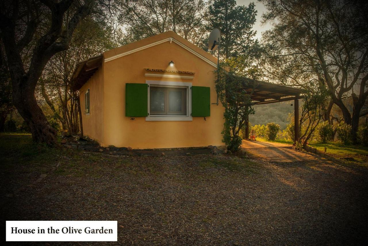 House In The Olive Garden Daire Ágios Ioánnis Dış mekan fotoğraf