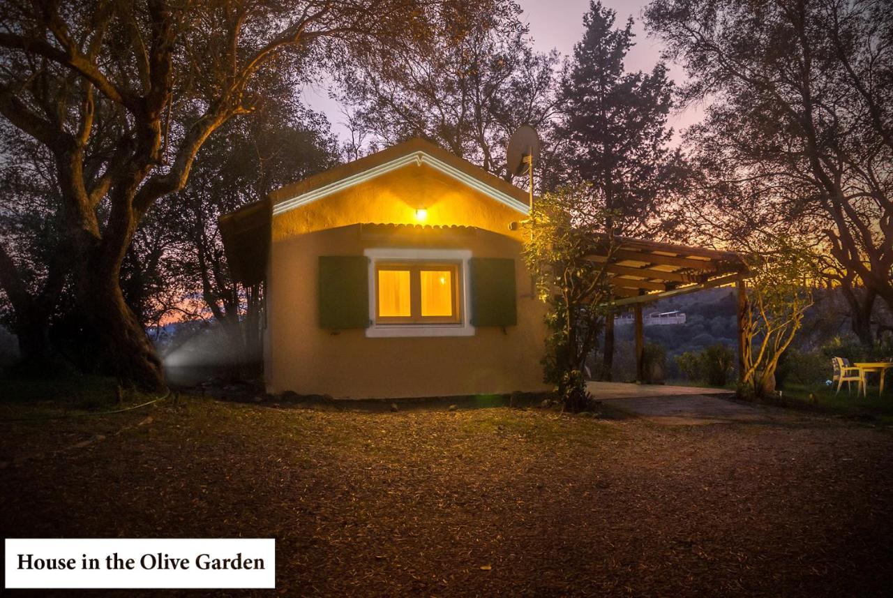 House In The Olive Garden Daire Ágios Ioánnis Dış mekan fotoğraf
