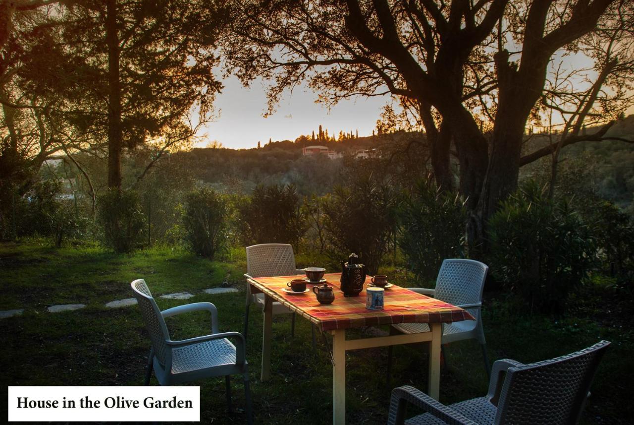 House In The Olive Garden Daire Ágios Ioánnis Dış mekan fotoğraf