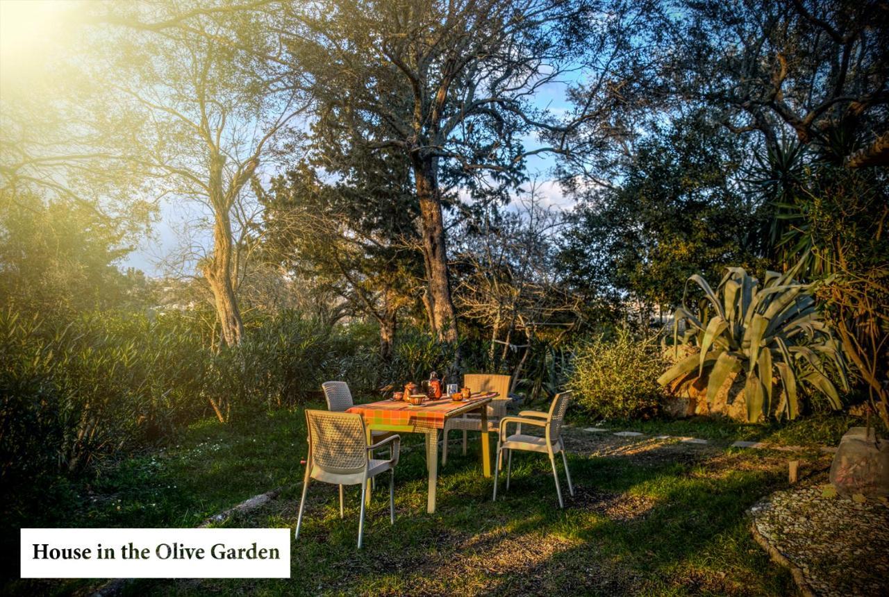 House In The Olive Garden Daire Ágios Ioánnis Dış mekan fotoğraf
