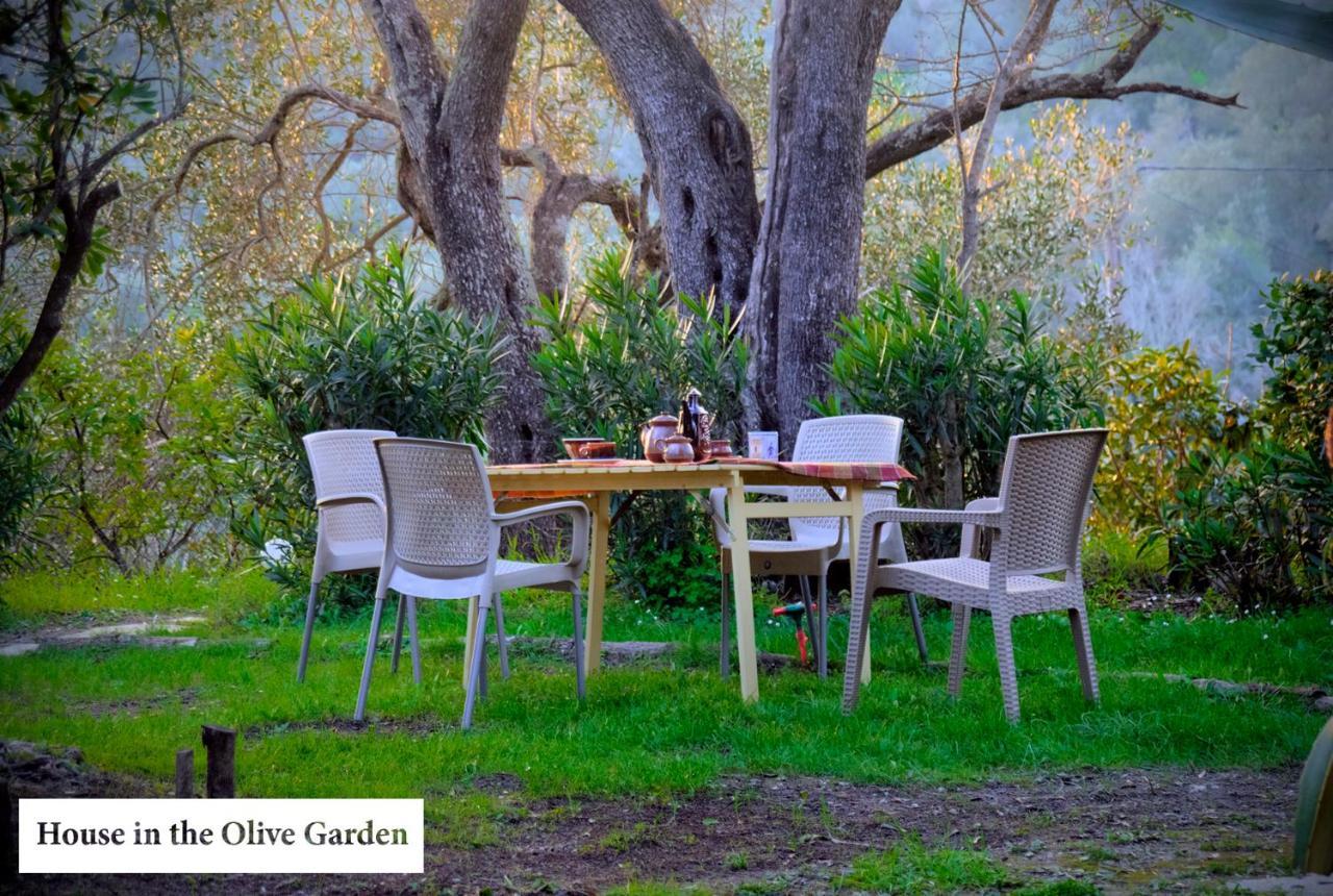 House In The Olive Garden Daire Ágios Ioánnis Dış mekan fotoğraf