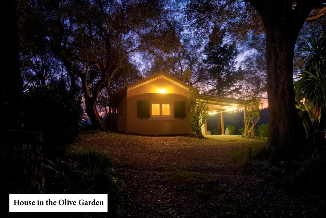 House In The Olive Garden Daire Ágios Ioánnis Dış mekan fotoğraf
