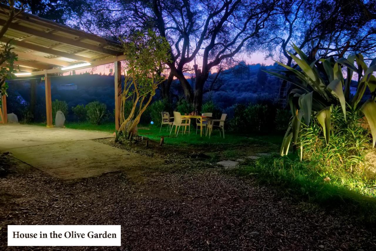 House In The Olive Garden Daire Ágios Ioánnis Dış mekan fotoğraf