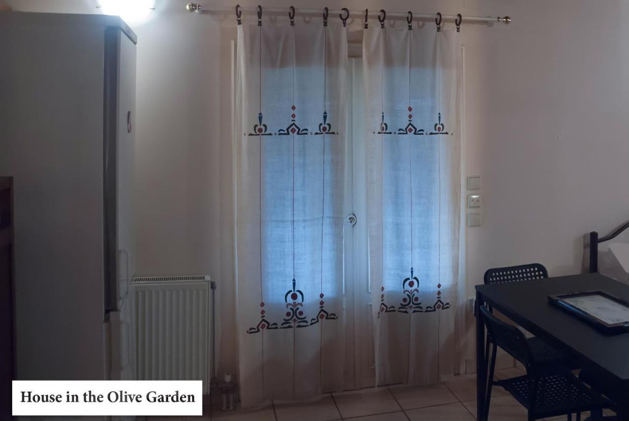 House In The Olive Garden Daire Ágios Ioánnis Dış mekan fotoğraf