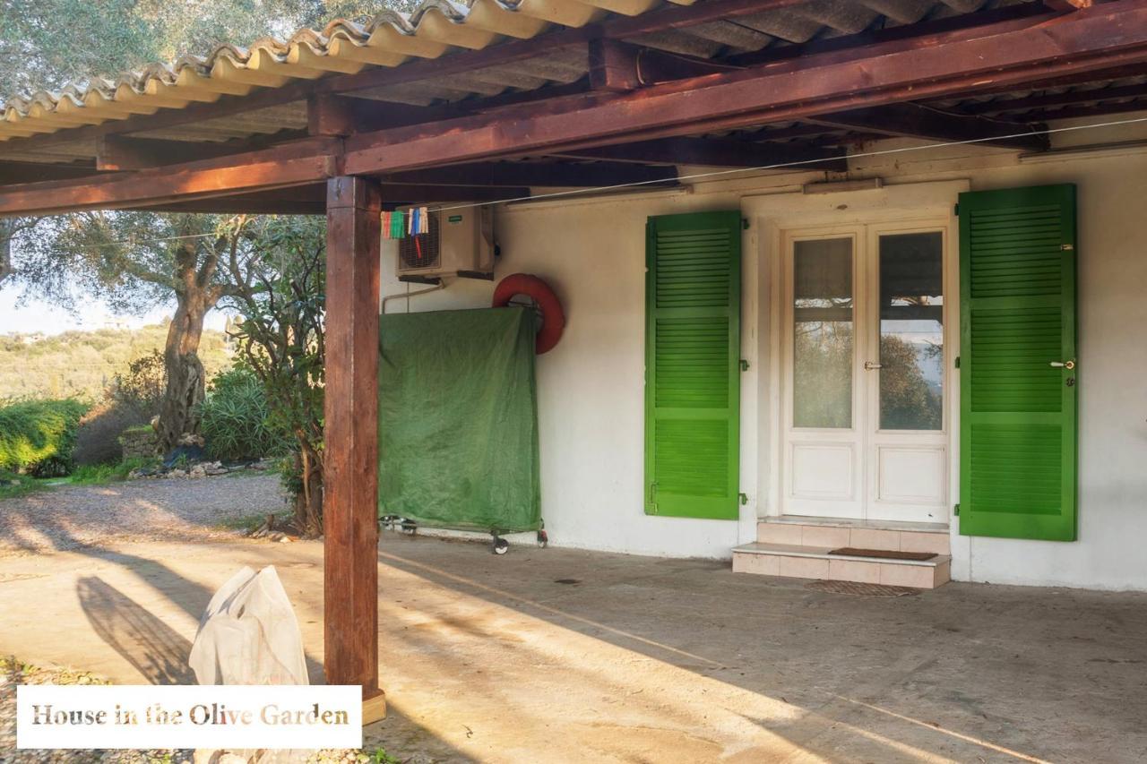 House In The Olive Garden Daire Ágios Ioánnis Dış mekan fotoğraf