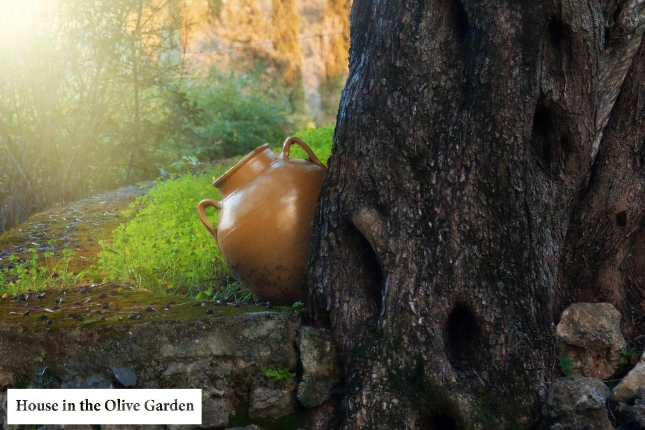 House In The Olive Garden Daire Ágios Ioánnis Dış mekan fotoğraf