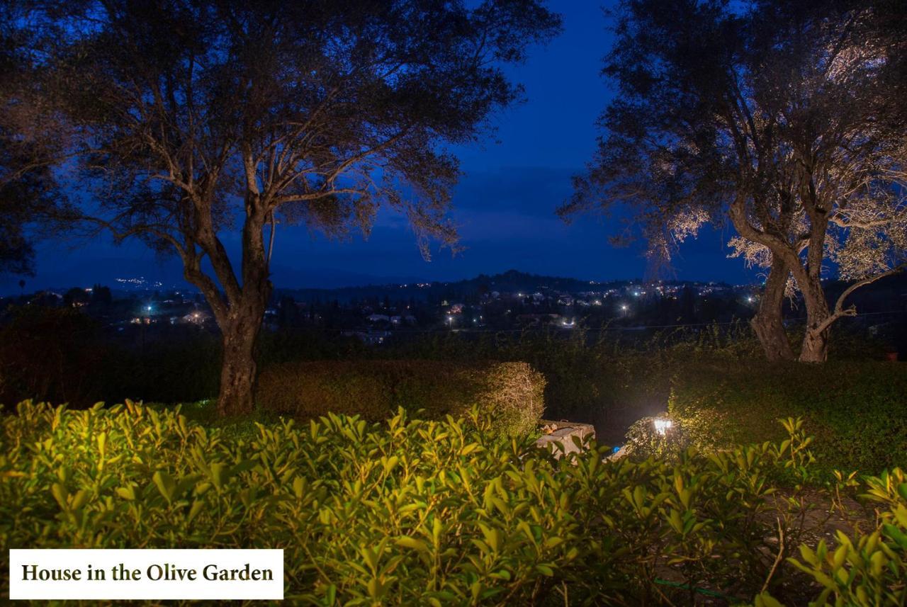 House In The Olive Garden Daire Ágios Ioánnis Dış mekan fotoğraf