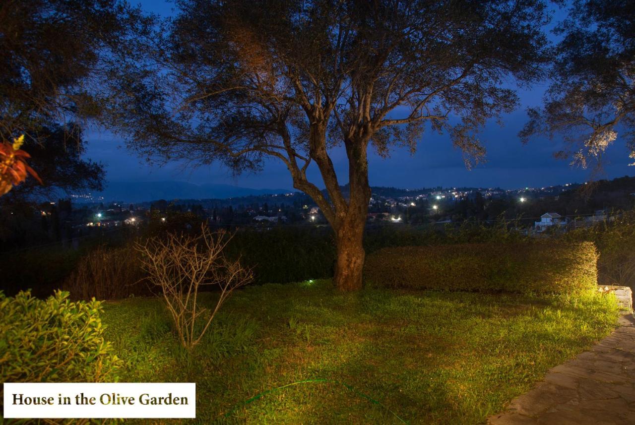 House In The Olive Garden Daire Ágios Ioánnis Dış mekan fotoğraf