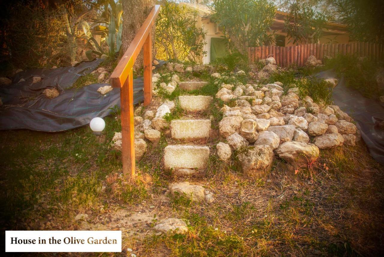 House In The Olive Garden Daire Ágios Ioánnis Dış mekan fotoğraf