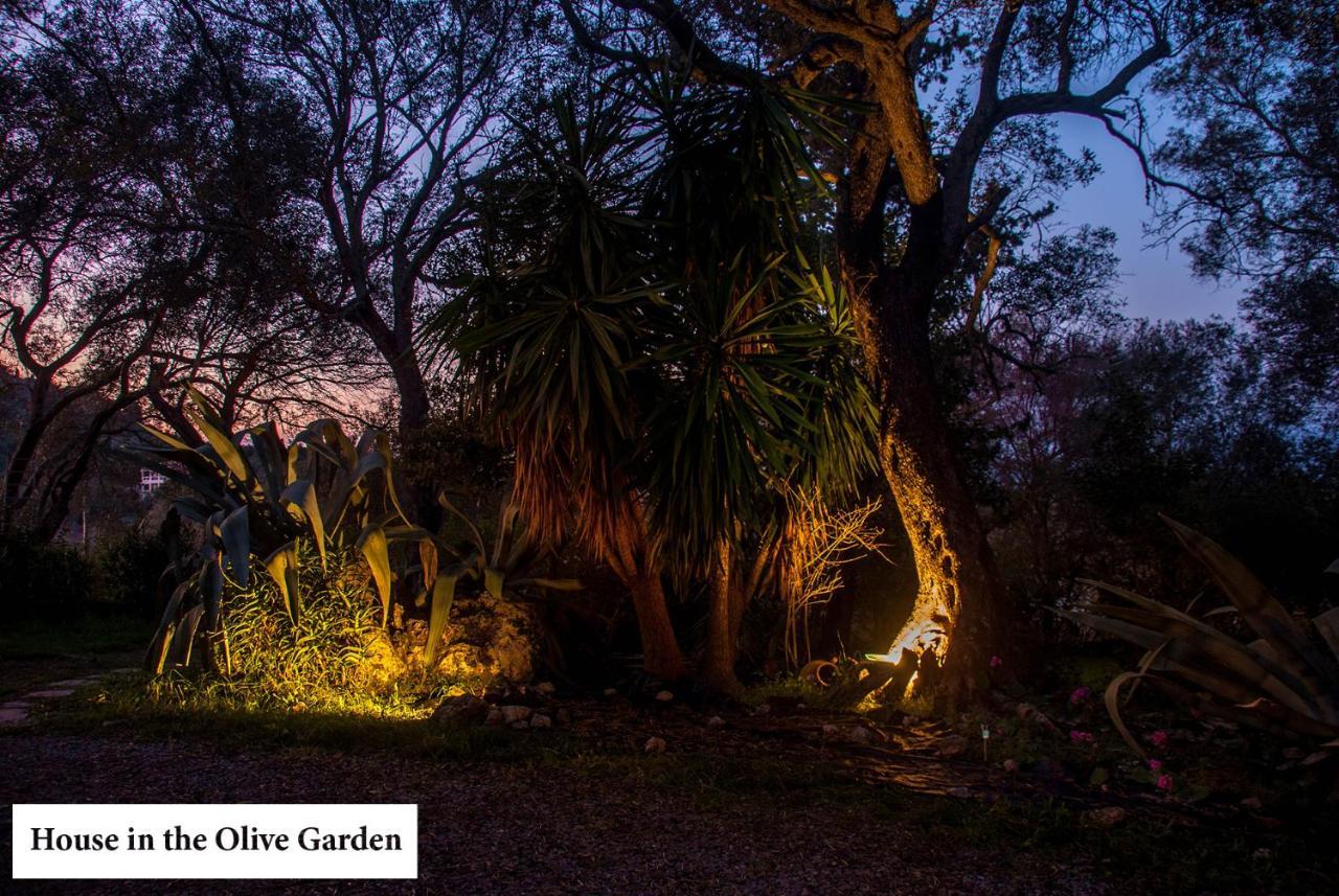 House In The Olive Garden Daire Ágios Ioánnis Dış mekan fotoğraf