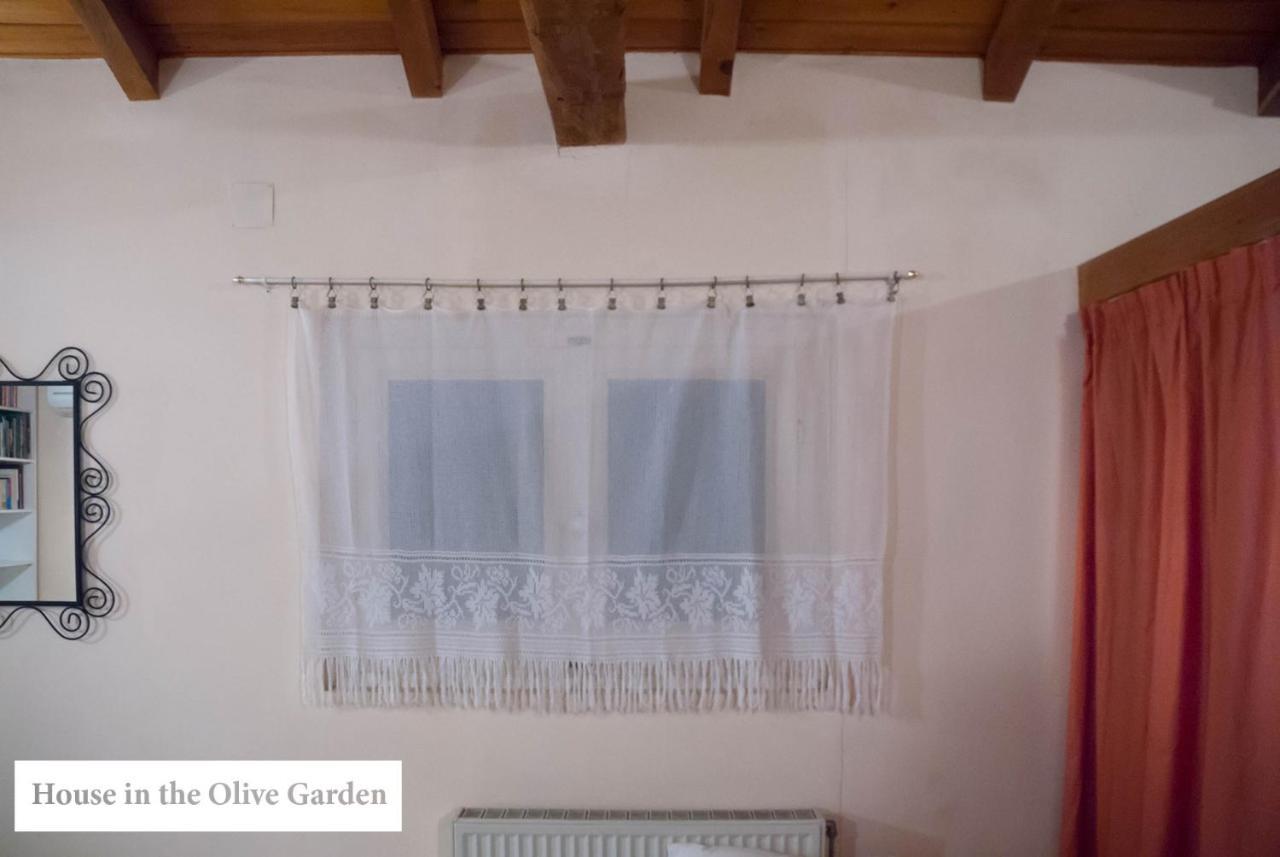 House In The Olive Garden Daire Ágios Ioánnis Dış mekan fotoğraf