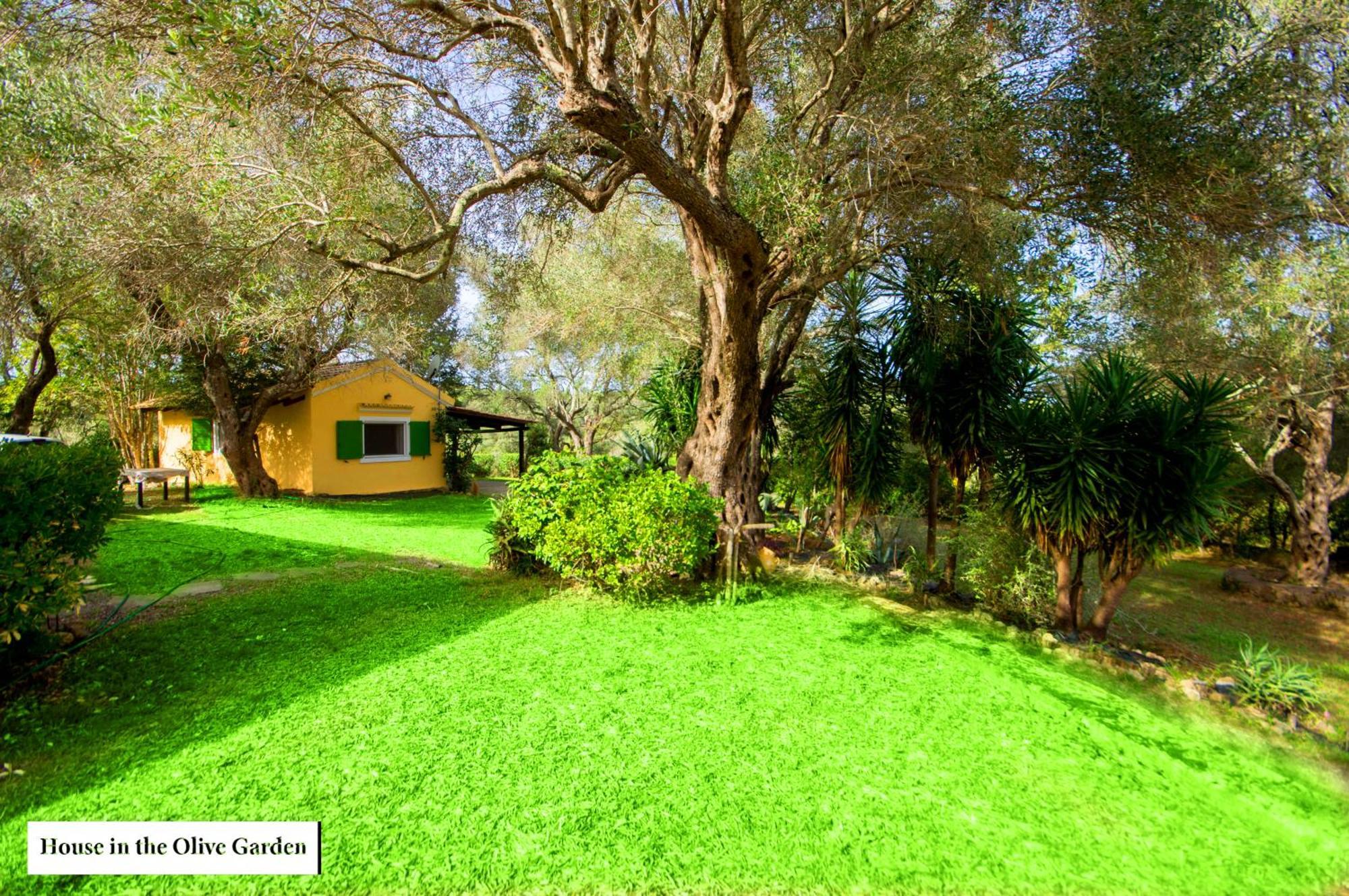 House In The Olive Garden Daire Ágios Ioánnis Dış mekan fotoğraf