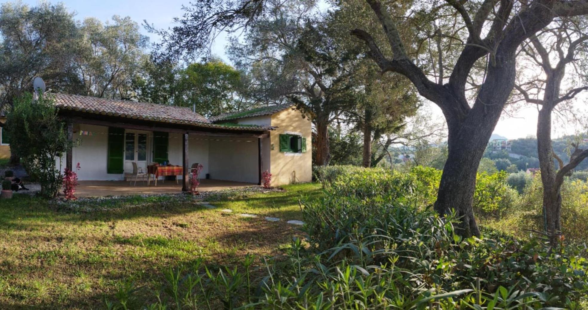House In The Olive Garden Daire Ágios Ioánnis Dış mekan fotoğraf