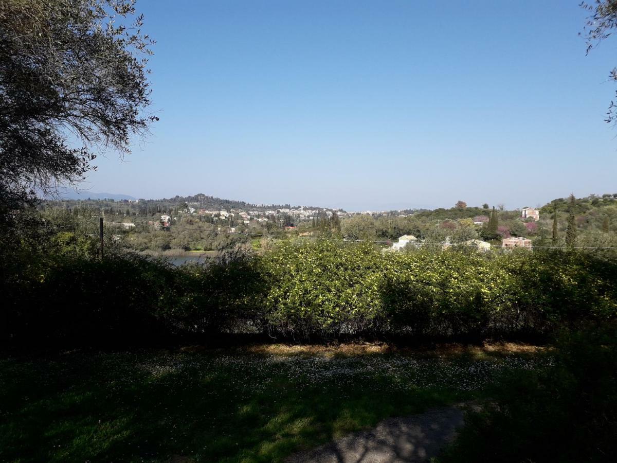House In The Olive Garden Daire Ágios Ioánnis Dış mekan fotoğraf