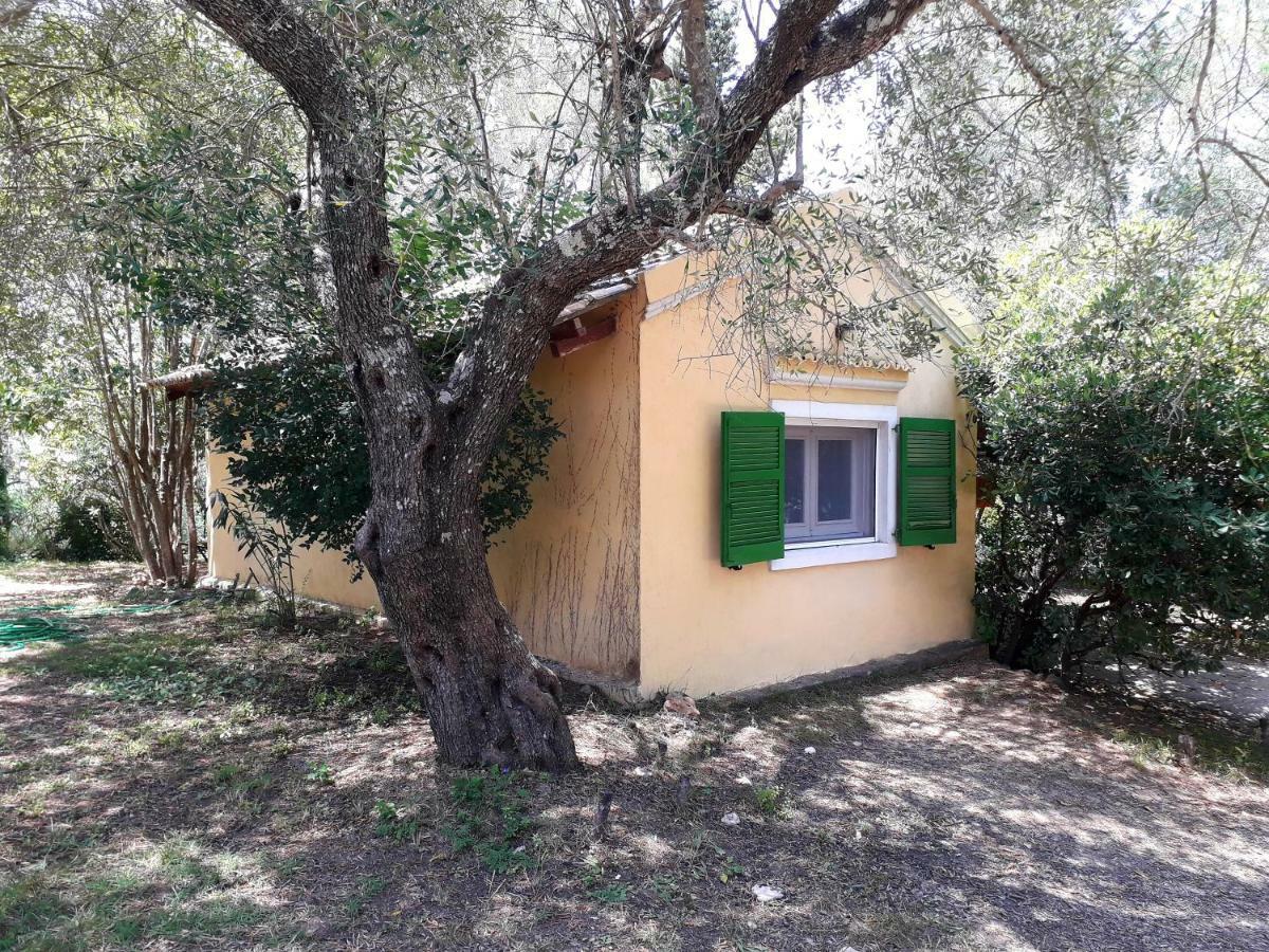 House In The Olive Garden Daire Ágios Ioánnis Dış mekan fotoğraf