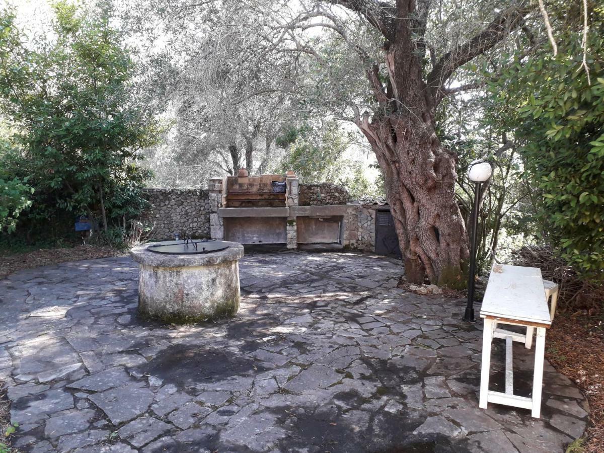 House In The Olive Garden Daire Ágios Ioánnis Dış mekan fotoğraf