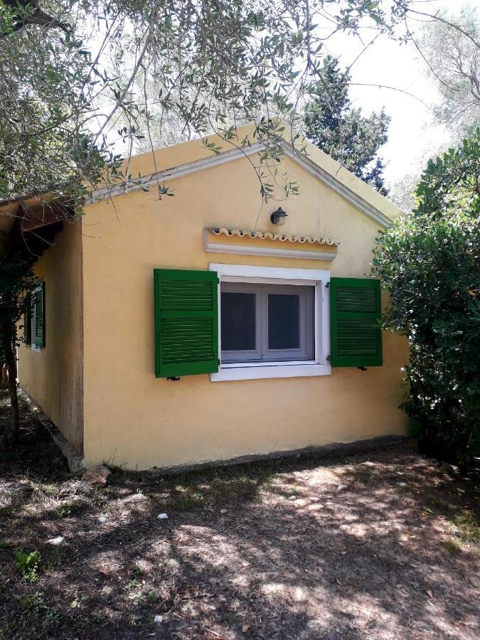 House In The Olive Garden Daire Ágios Ioánnis Dış mekan fotoğraf